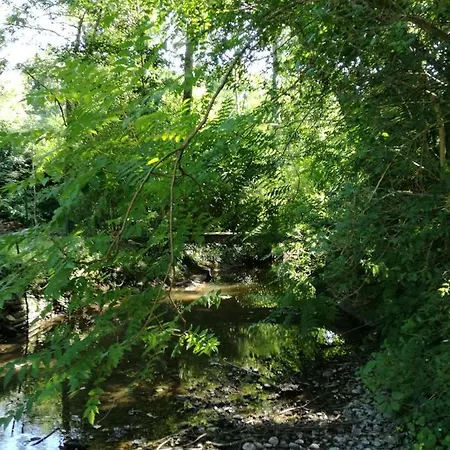 Le Moulin Du Galant